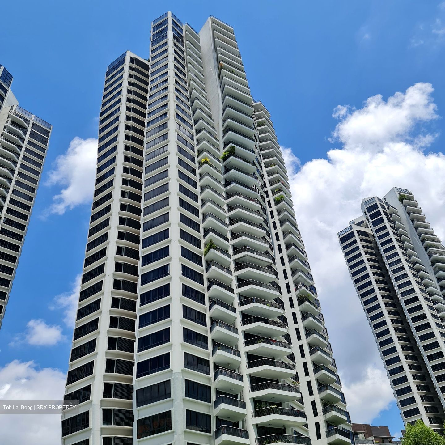 D'Leedon (D10), Condominium #478291001